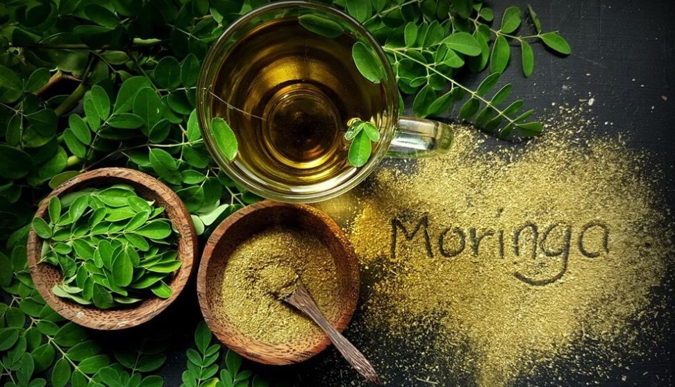 Moringa Powder Benefits