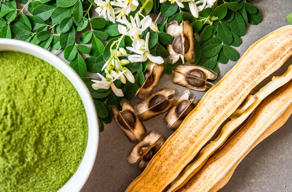 Moringa Powder Benefits